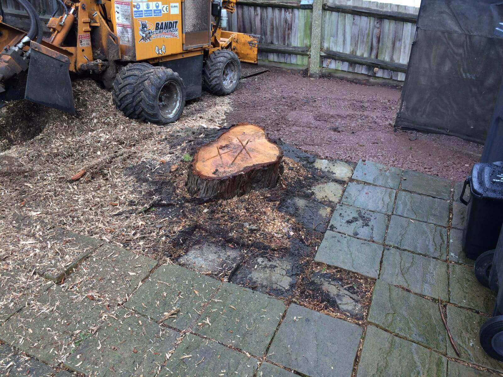 Tree Surgeons Clapham SW4