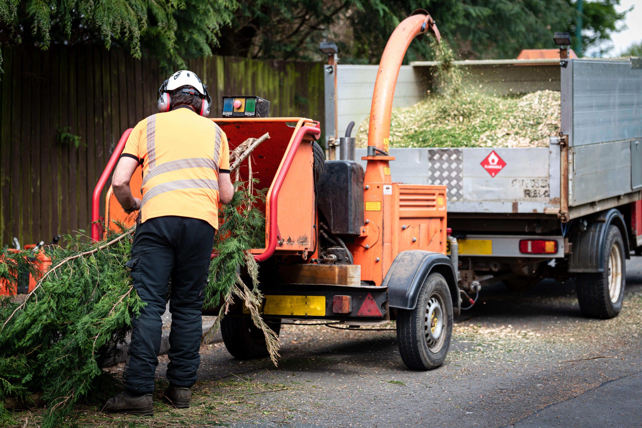 Tree Stump Grinding/Removal Clapham SW4